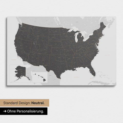 Neutral and simple version of a USA America map as a Push Pin Map in Light Gray