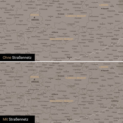 Benelux Push Pin Map TRAVEL® (Pinboard) – Warmgray