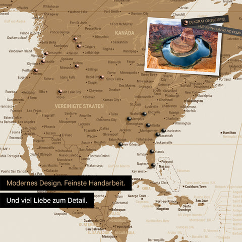 Weltkarte in der Equal-Earth-Projektion als Pinnwand in der Farbe  Bronze, auf der Reiseziele in den USA und Kanada mit Pins markiert sind