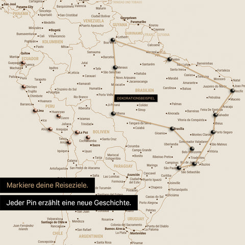 Detailed view of the FINELINE world map pinboard canvas in bronze color with marked travel route and pins in South America