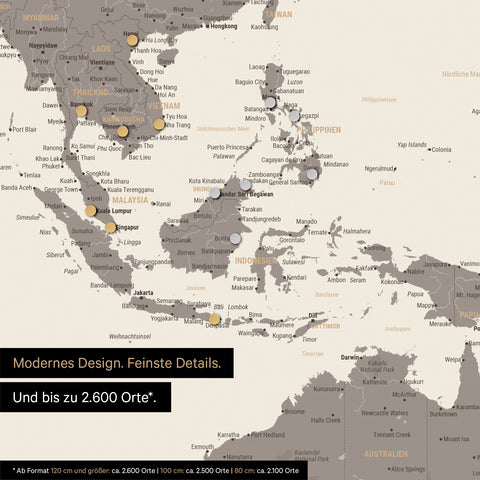 Ausschnitt einer magnetischen Weltkarte in Warmgray (Braun-Grau) zeigt Karte von Asien, auf der Magnete Reiseziele markieren