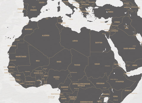 Detail einer schlichten Weltkarte Foto-Tapete in Grau-Weiß als Wandbild